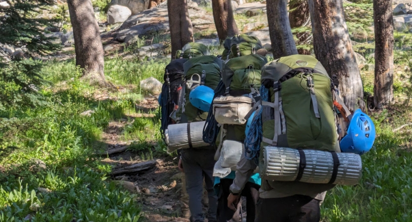 A group of backpackers hike through a wooded area